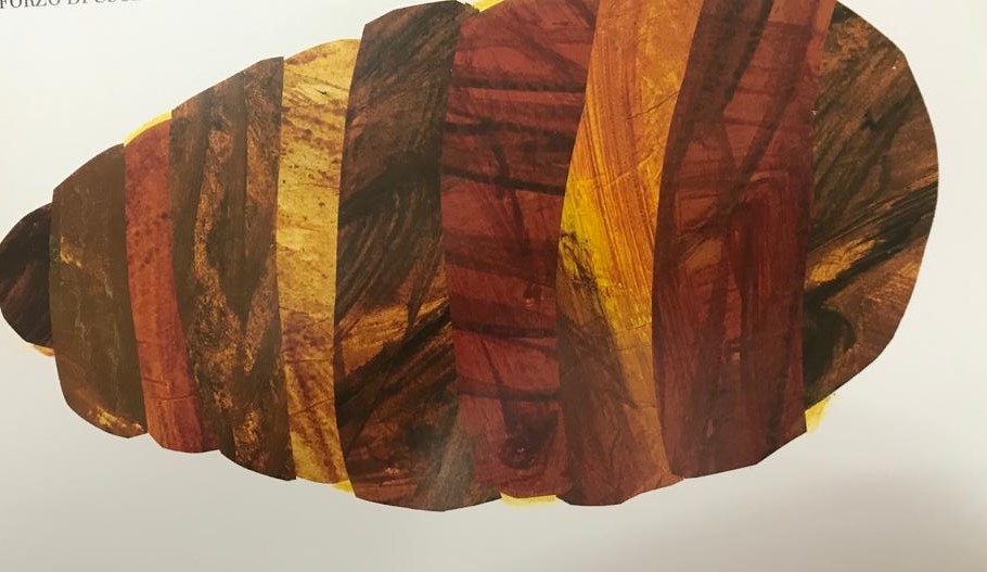 IL PICCOLO BRUCO MAI SAZIO by barbara maglianesi - Illustrated by BARBARA MAGLIANESI - Ourboox.com