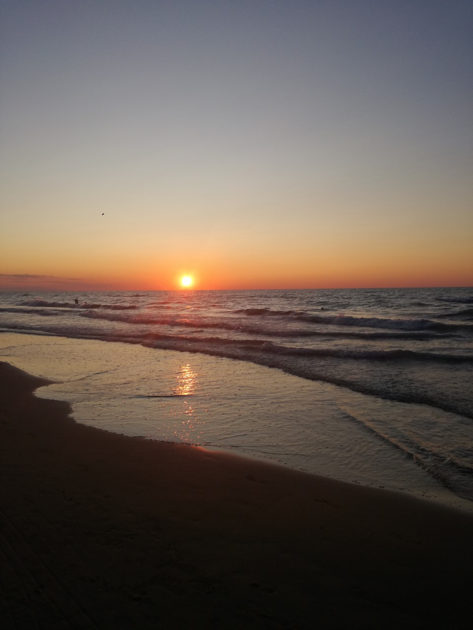 esame by rosario - Ourboox.com