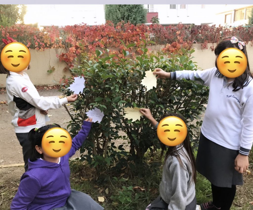 İYİLİK YAP AĞACA AS, AĞAÇ YEŞERSİN MEYVE VERSİN by zeynep özdemir - Ourboox.com