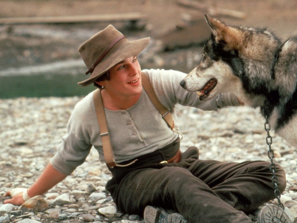 Book Report (White Fang) by ori - Ourboox.com