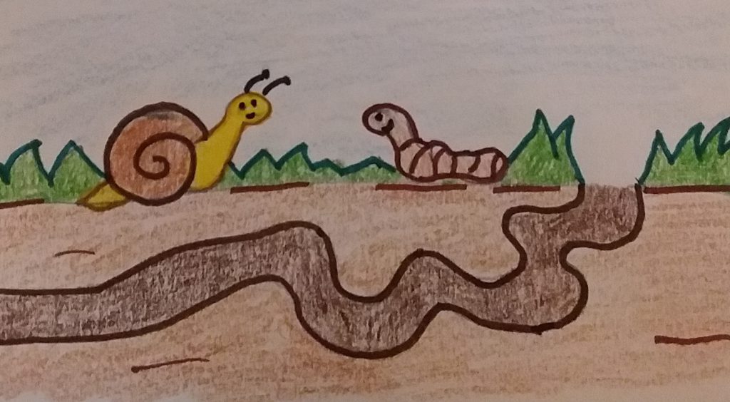 STORIA DI UNA CHIOCCIOLA – Elena, Valeria, Mimma by Elena Amato - Ourboox.com