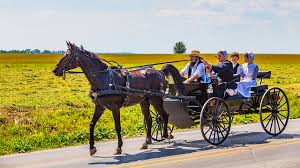 The Amish by lihi spector - Ourboox.com