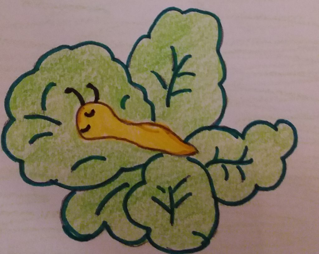 STORIA DI UNA CHIOCCIOLA – Elena, Valeria, Mimma by Elena Amato - Ourboox.com