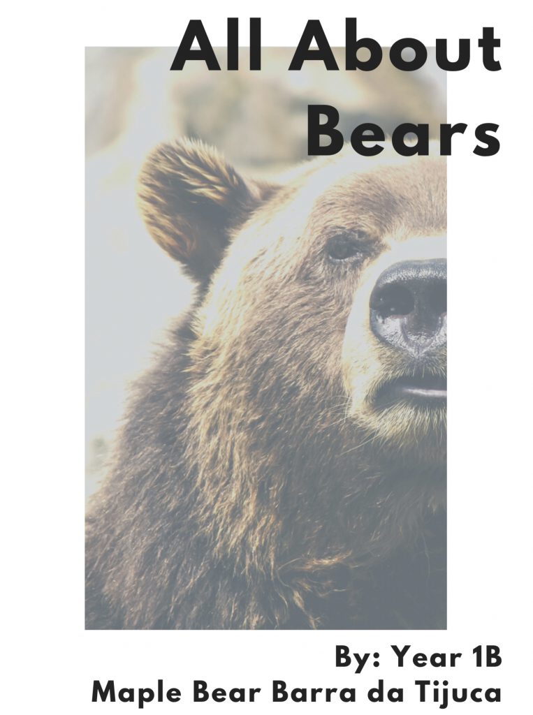 Year 1B Nonfiction Bear Book by Melissa Leggett de Moura - Ourboox.com