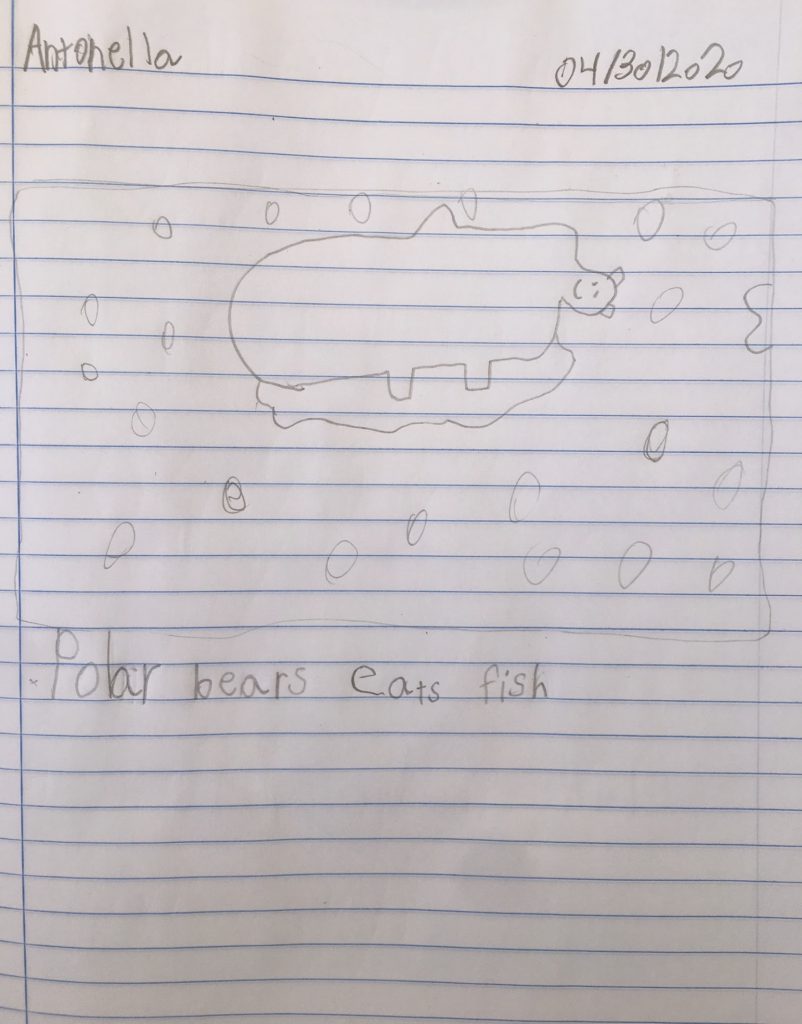 Year 1B Nonfiction Bear Book by Melissa Leggett de Moura - Ourboox.com