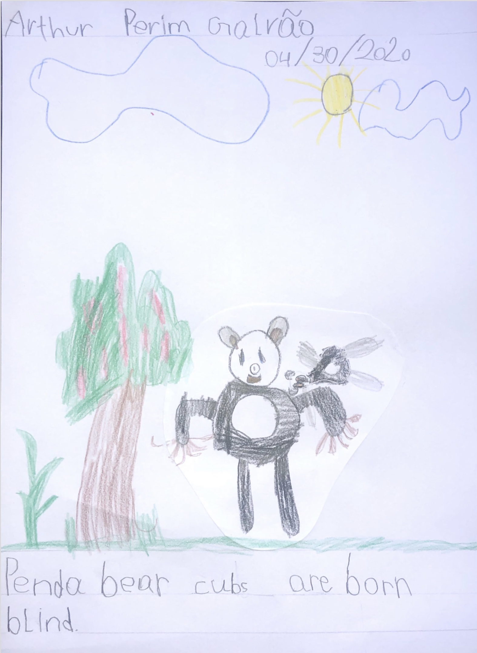 Year 1B Nonfiction Bear Book by Melissa Leggett de Moura - Ourboox.com