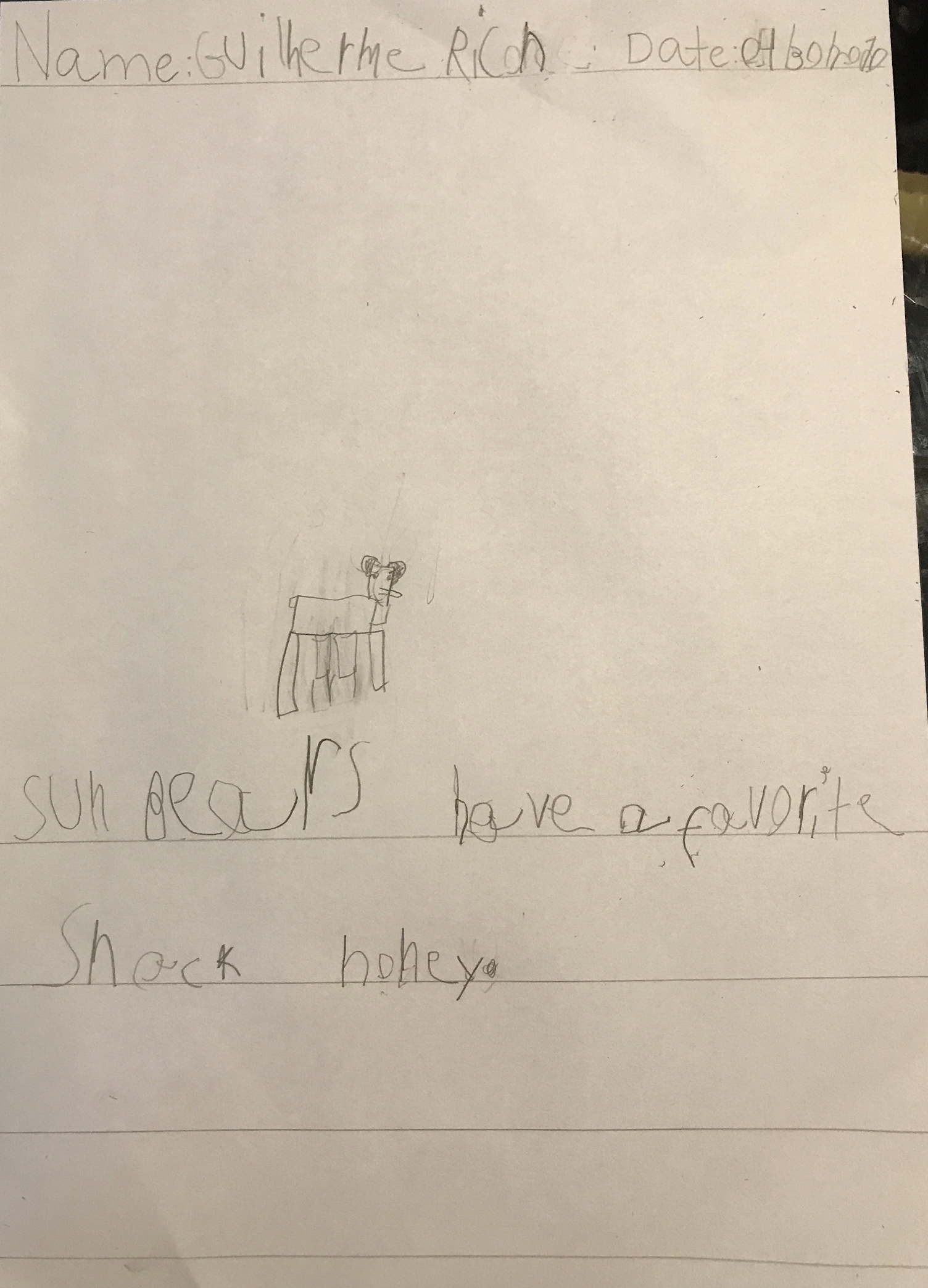 Year 1B Nonfiction Bear Book by Melissa Leggett de Moura - Ourboox.com