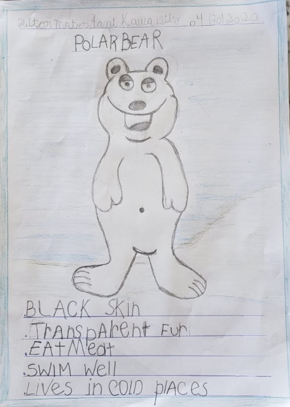 Year 1B Nonfiction Bear Book by Melissa Leggett de Moura - Ourboox.com