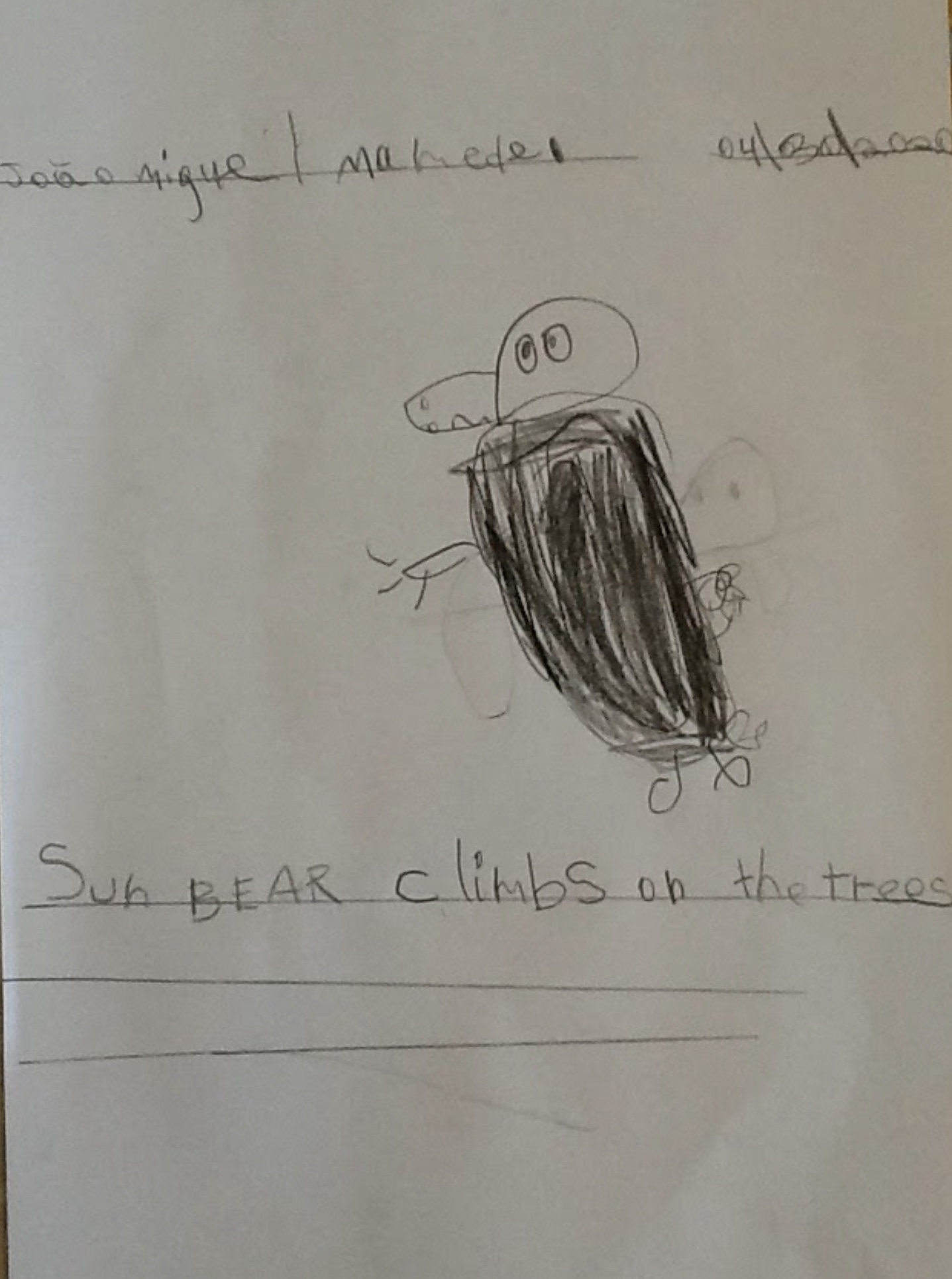 Year 1B Nonfiction Bear Book by Melissa Leggett de Moura - Ourboox.com