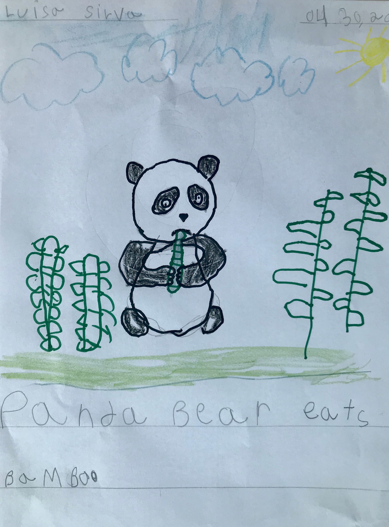 Year 1B Nonfiction Bear Book by Melissa Leggett de Moura - Ourboox.com