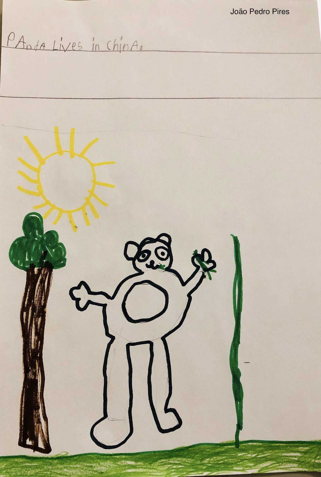 Year 1B Nonfiction Bear Book by Melissa Leggett de Moura - Ourboox.com