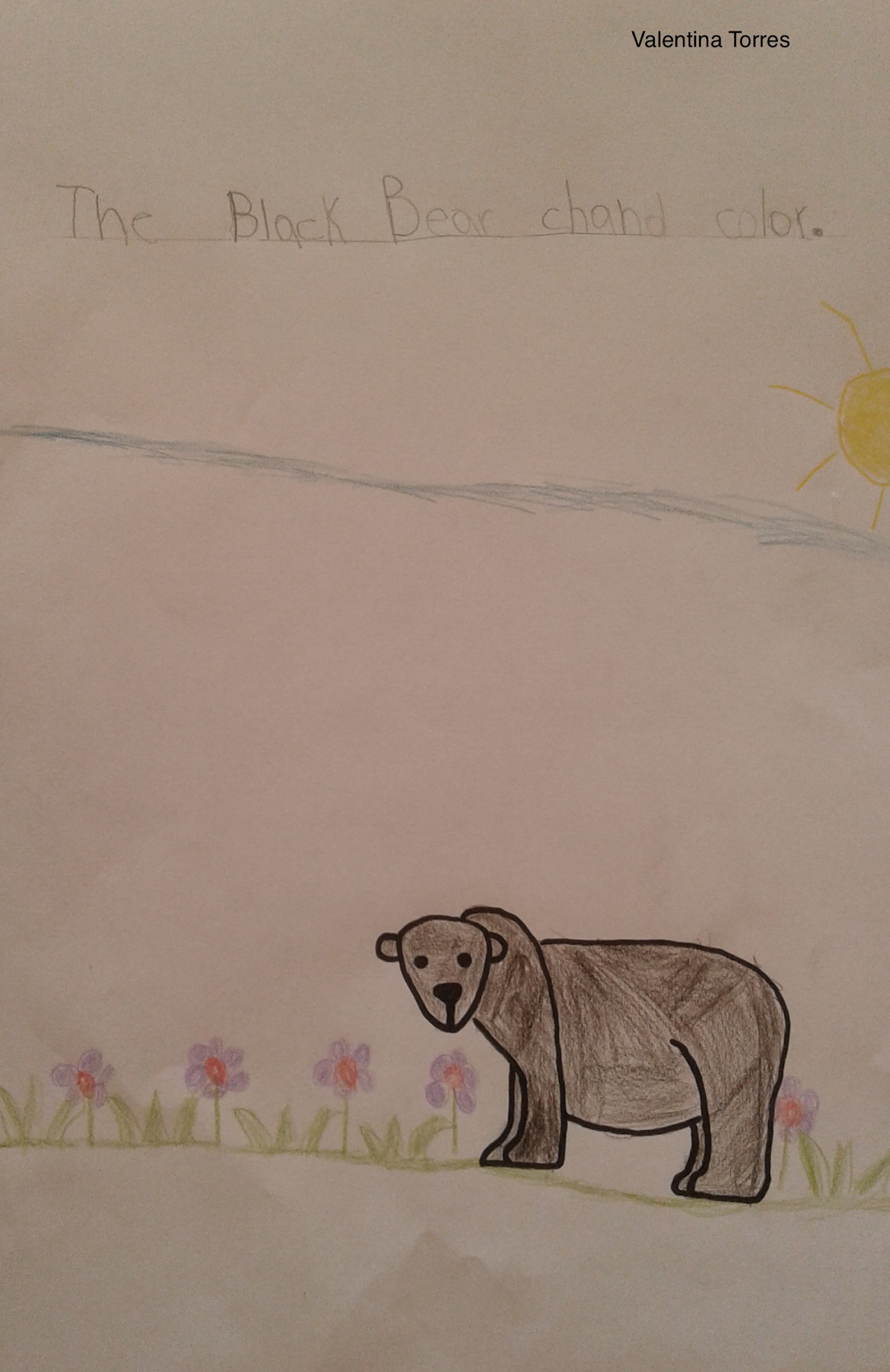 Year 1B Nonfiction Bear Book by Melissa Leggett de Moura - Ourboox.com