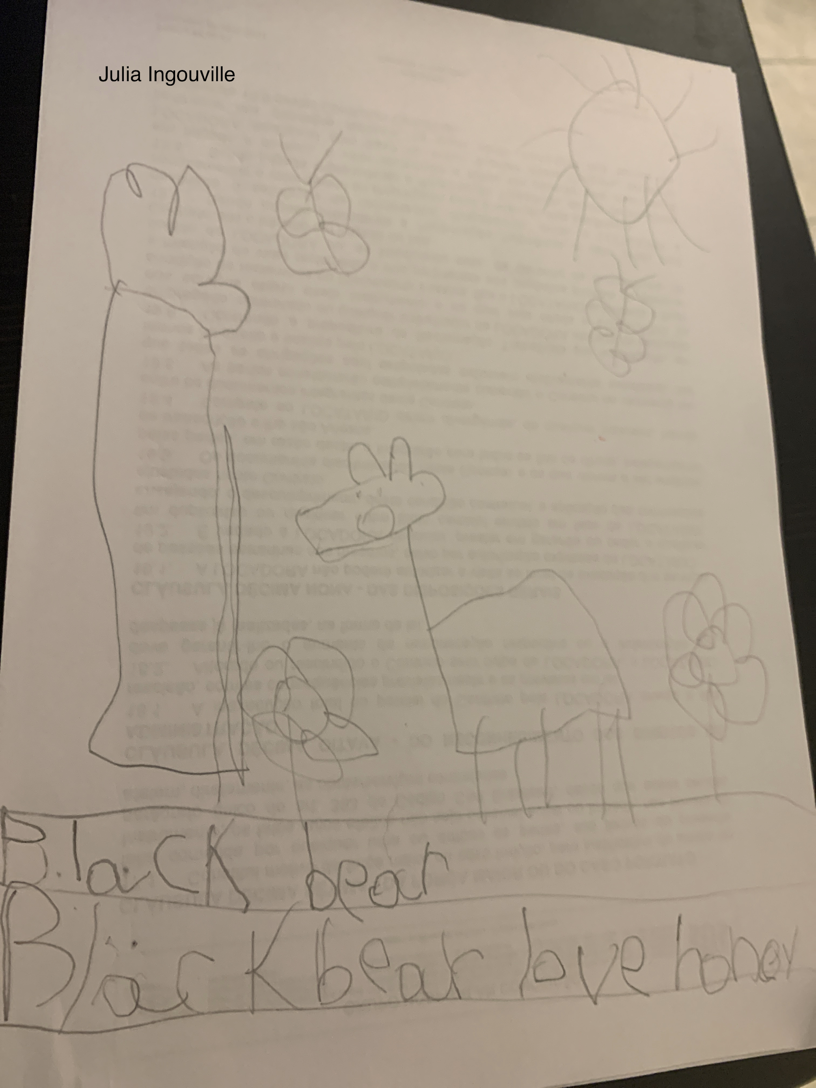 Year 1B Nonfiction Bear Book by Melissa Leggett de Moura - Ourboox.com