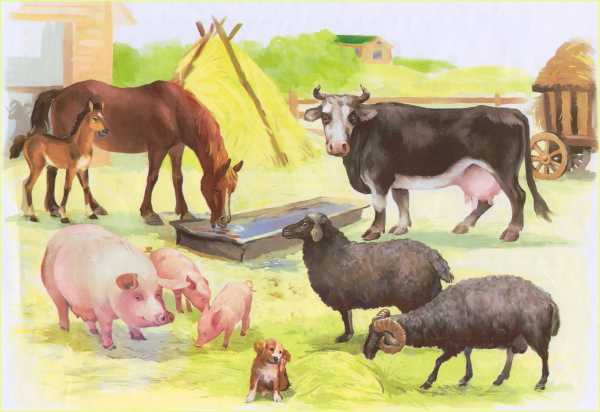 Гатанки за домашните животни by Desislava Markova - Ourboox.com