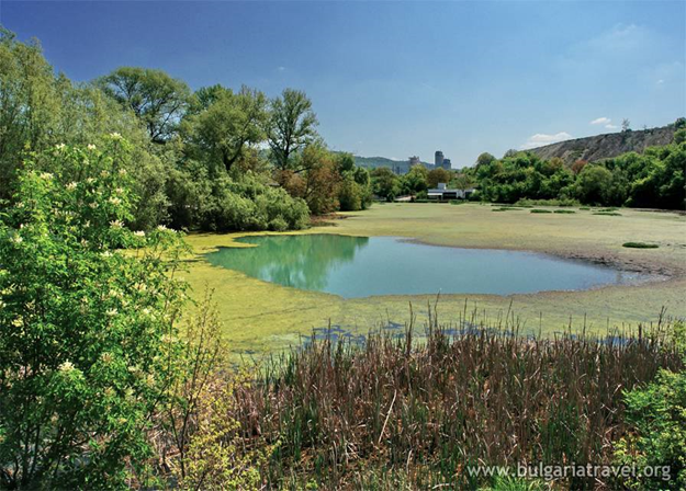Our beautiful town Lukovit by GABRIELA PEYCHEVA - Ourboox.com