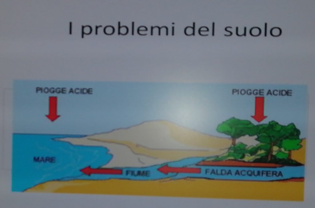 La salvaguardia del suolo by Graziella Seminario - Ourboox.com