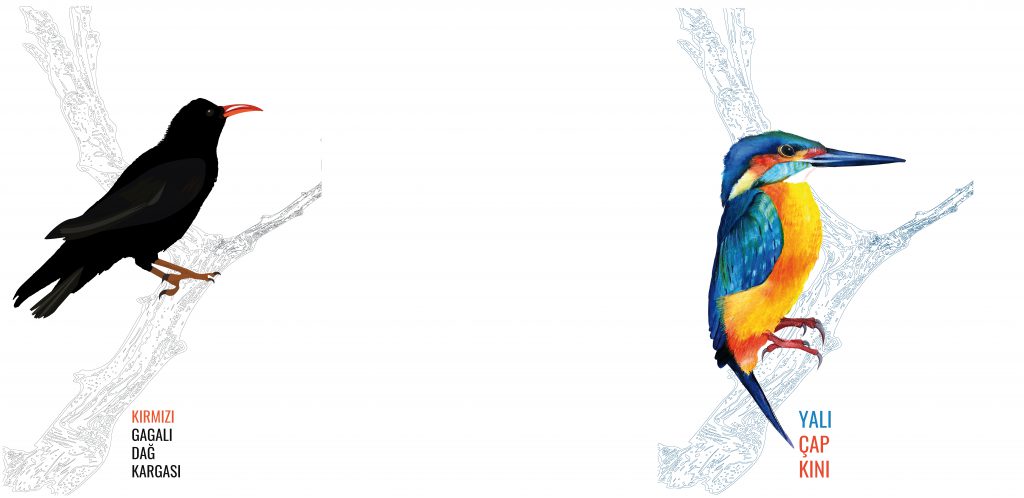 aysegul by ayşegül gürdal - Ourboox.com