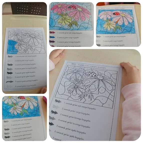 Ç SESİ ORTAK ETKİNLİĞİ ÇİÇEKLERİMİZ by Çağla ULUKAYA - Ourboox.com