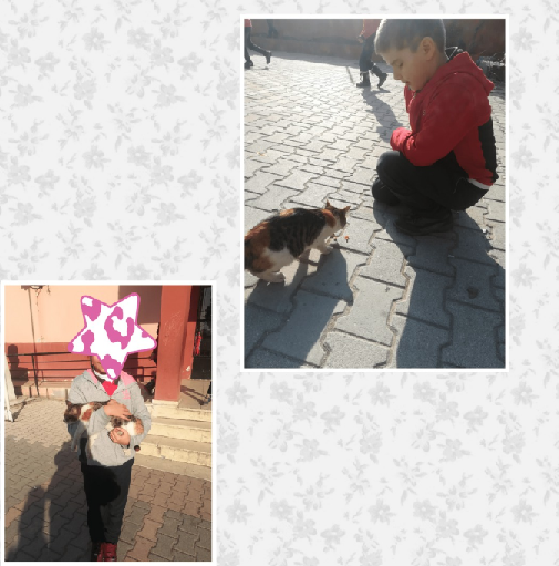 The relationship of love with human values (compassion, tolerance, respect)( January-February 2020 ) by Arzu Gülbeyaz - Ourboox.com