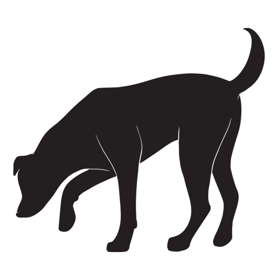 Joe the dog by Lotem lampert - Ourboox.com