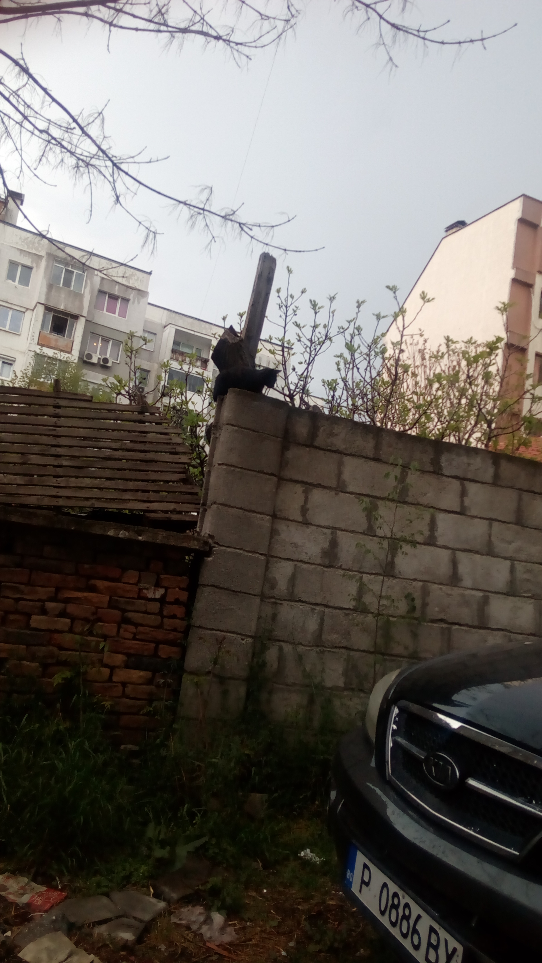 Насекоми и мекотели by Iliyan - Ourboox.com