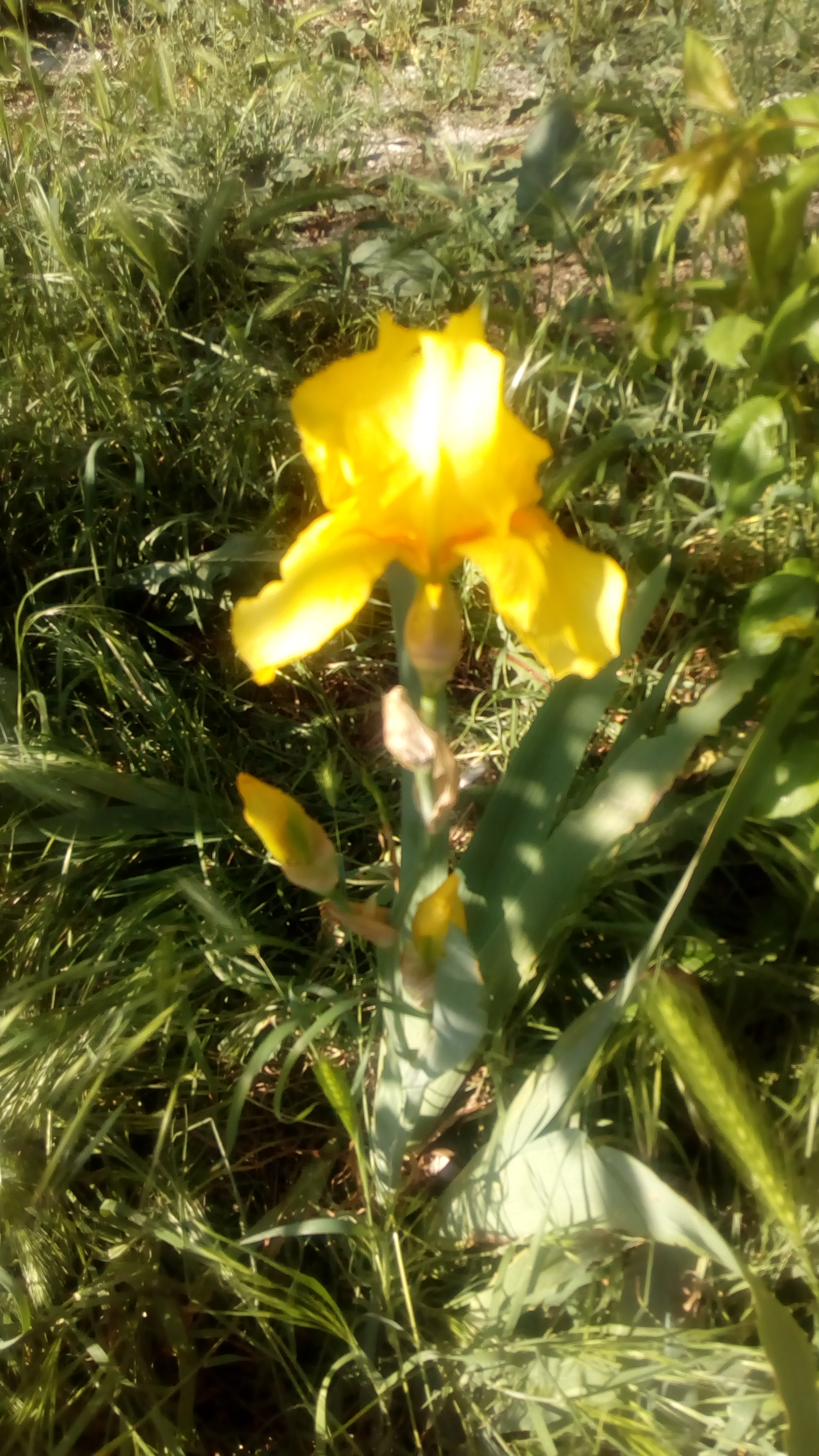 Насекоми и мекотели by Iliyan - Ourboox.com