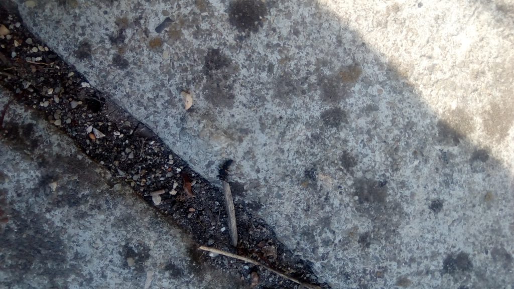 Насекоми и мекотели by Iliyan - Ourboox.com