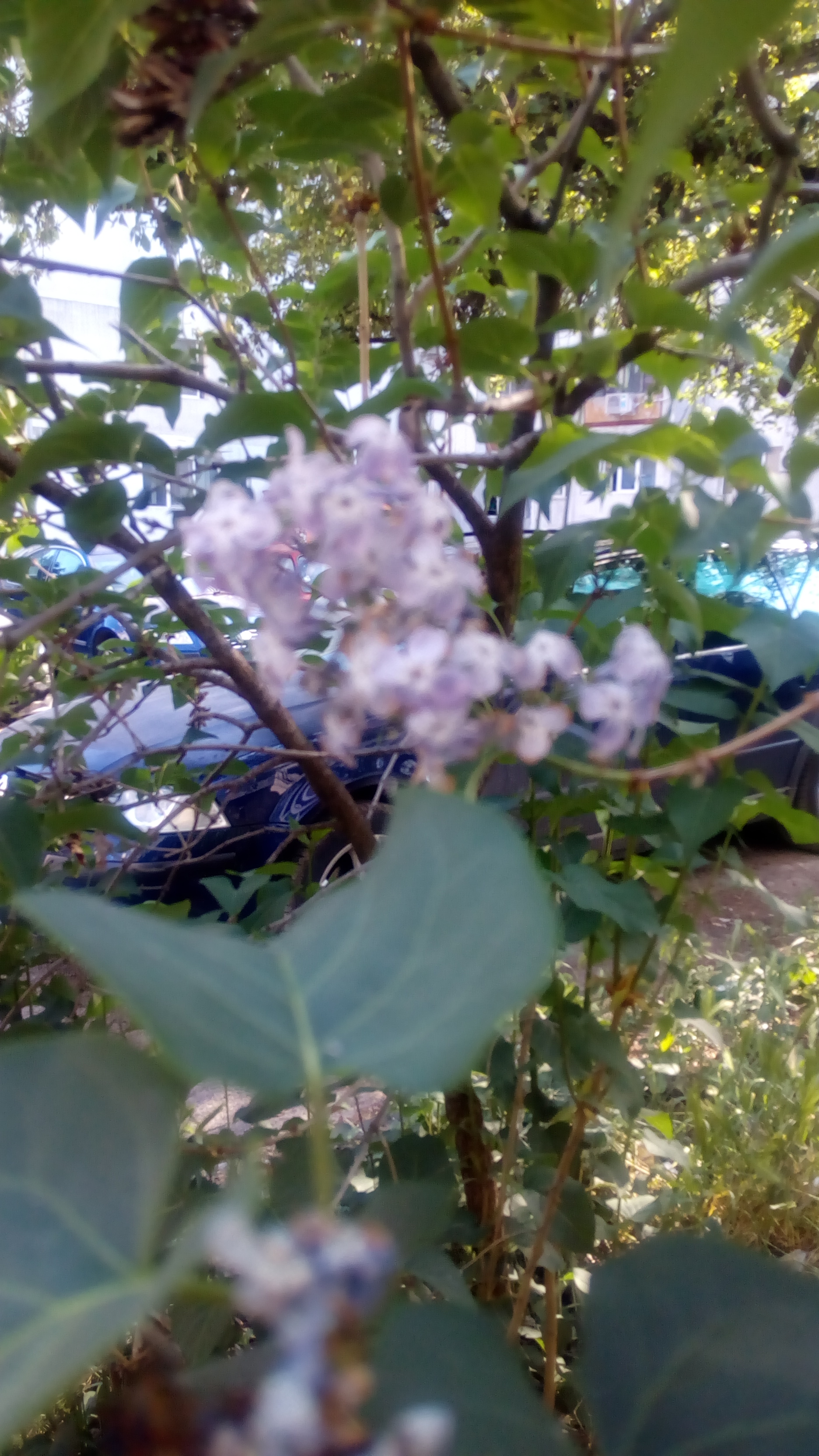 Насекоми и мекотели by Iliyan - Ourboox.com