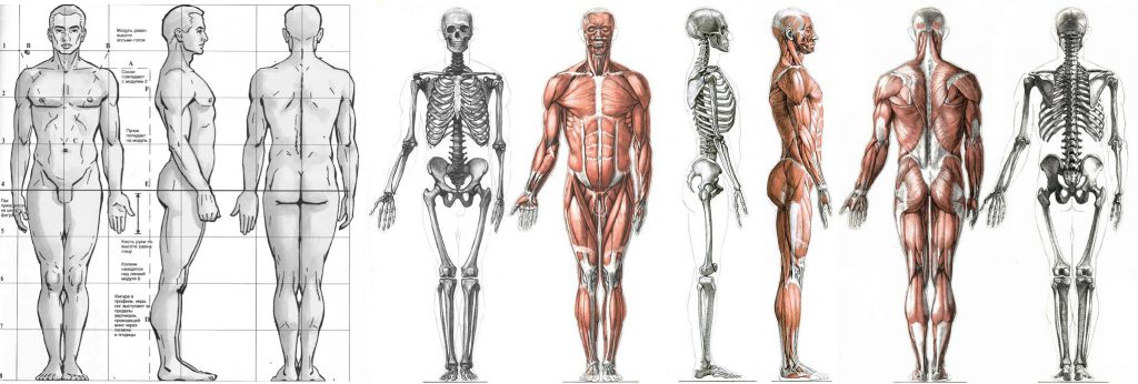 Насекоми и мекотели by Iliyan - Ourboox.com