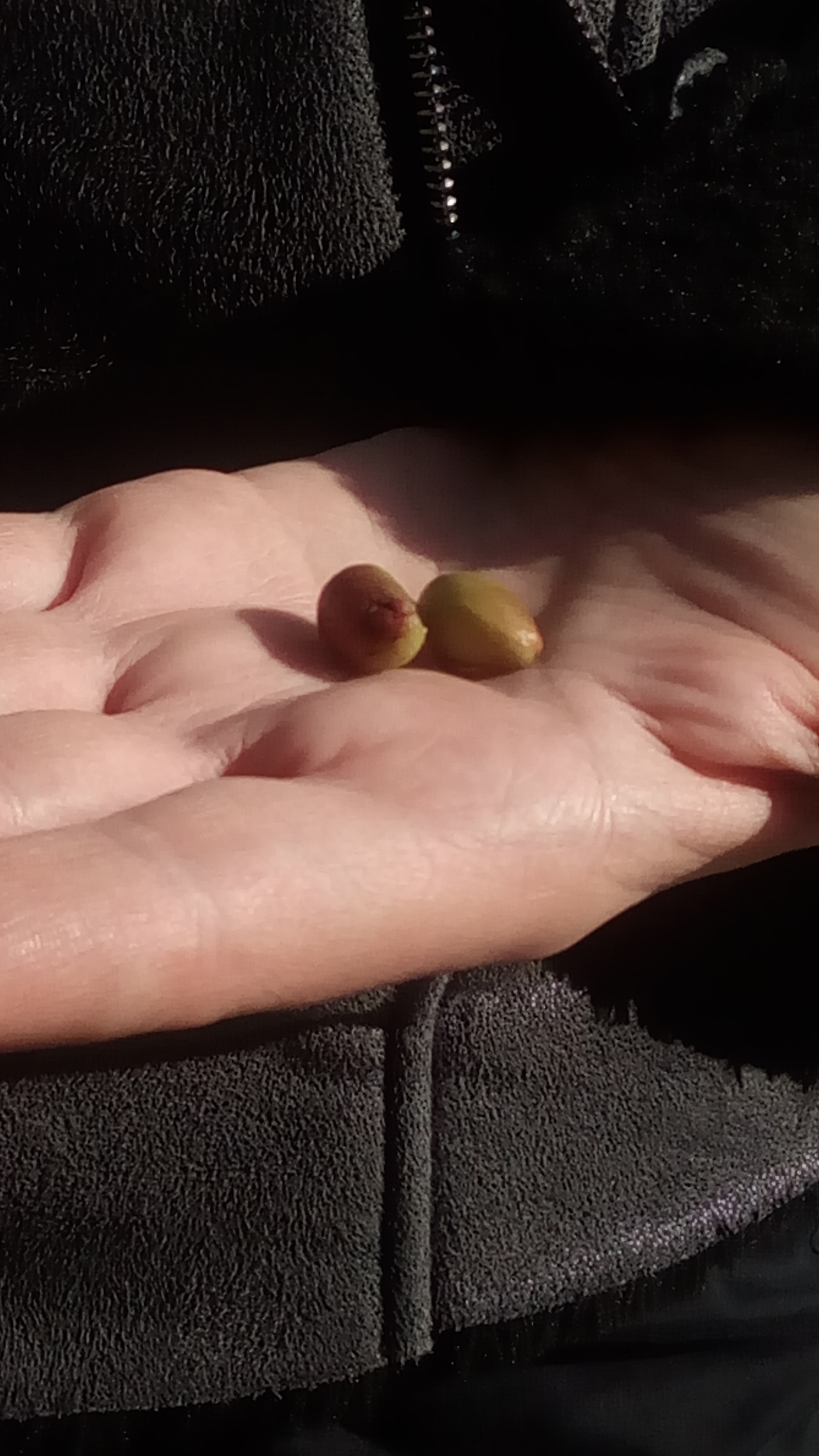 Насекоми и мекотели by Iliyan - Ourboox.com