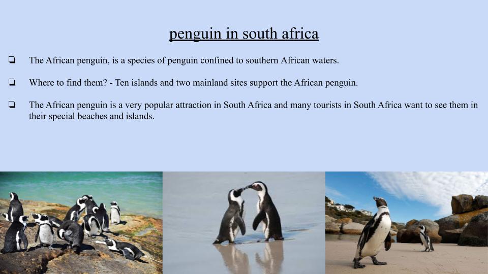 The Big Book Of South Africa- Aya Ben Haim & Aya Peled by Aya Ben Haim - Ourboox.com