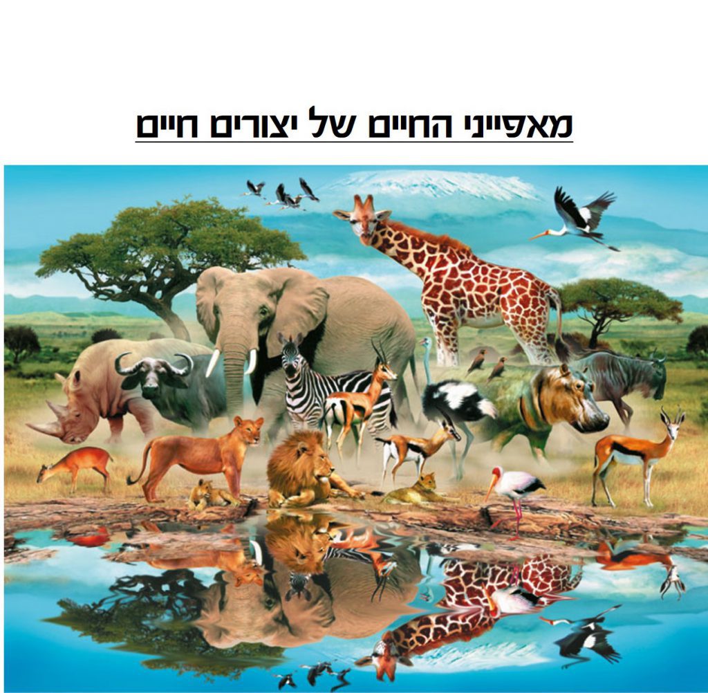 מאפייני החיים by heligirafi - Ourboox.com