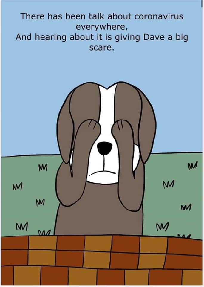 WHAT IS COVID 19 by GABRIELA PEYCHEVA - Ourboox.com