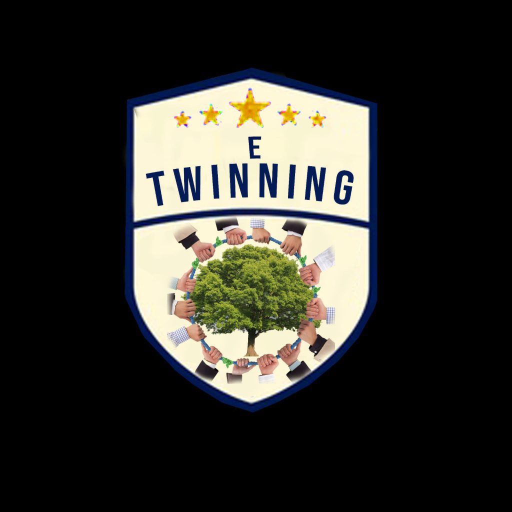 “I’M READY FOR THE CENTURY WITH MY SKILLS” LOGOS OF THE PROJECT by Ezgi Akbudak - Ourboox.com