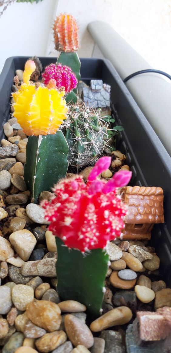 הצמחים של מאיה by maya mizrahi - Illustrated by מאיה מזרחי - Ourboox.com