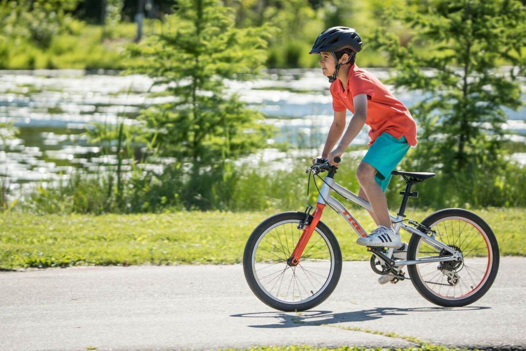 רכיבה בטוחה by yifat tam - Illustrated by נעמה מגידי ויפעת תם - Ourboox.com