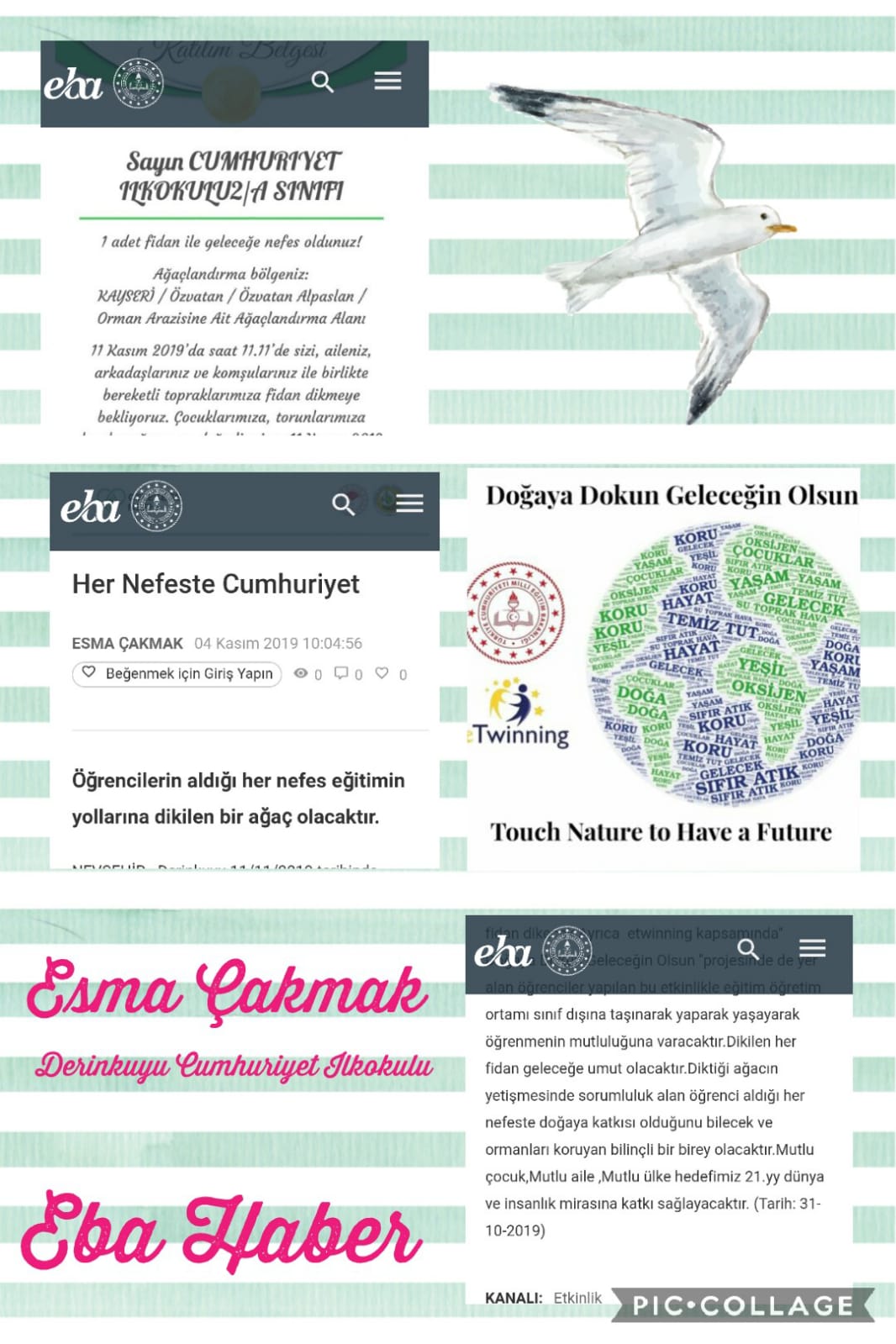 DOĞAYA DOKUN GELECEĞİN OLSUN EBA HABERLERİ by gülseven - Ourboox.com