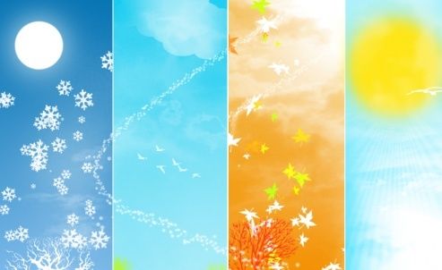 ماذا نشاهد في الصورة