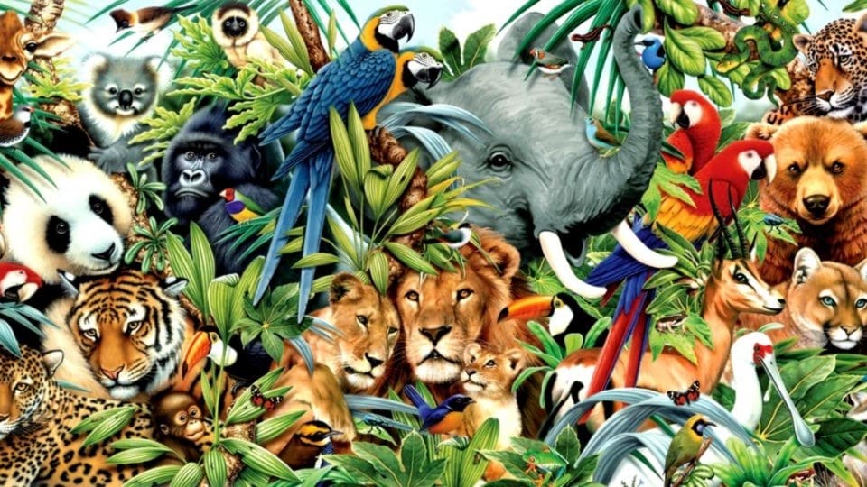 Hayvanlar Alemi by osman aga - Illustrated by Ege - Ourboox.com