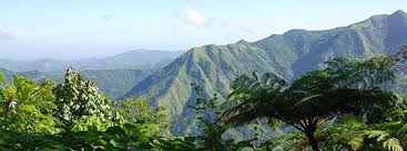 Героите на Сиера Маестра ОТ Мария Богданова by Maria - Illustrated by Мария Богданова  - Ourboox.com