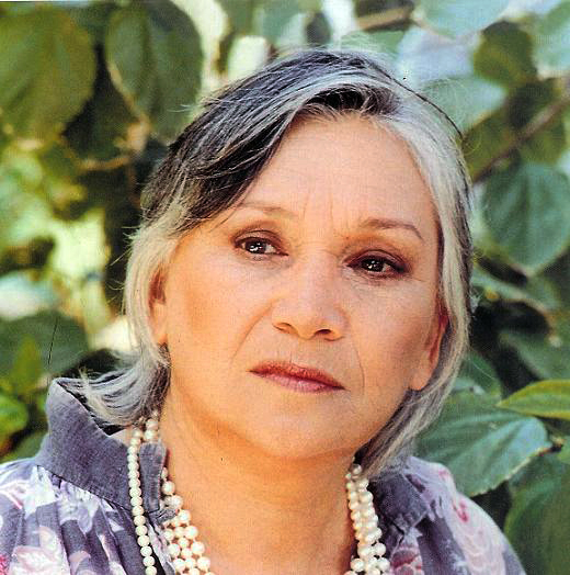 טיול יום ירושלים לתלמידי כיתות ה’ בבית הספר היסודי “עמית” במודיעין מכבים רעות by BarElmaliach - Illustrated by בר אלמליח, חן בן זקן, לינוי גואטה ואביה סוויסה-שקד - Ourboox.com