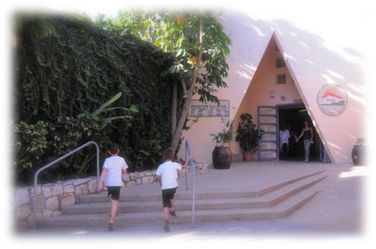 טיול יום ירושלים לתלמידי כיתות ה’ בבית הספר היסודי “עמית” במודיעין מכבים רעות by BarElmaliach - Illustrated by בר אלמליח, חן בן זקן, לינוי גואטה ואביה סוויסה-שקד - Ourboox.com