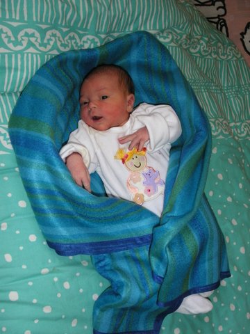 queen shilat by shilat goren - Ourboox.com