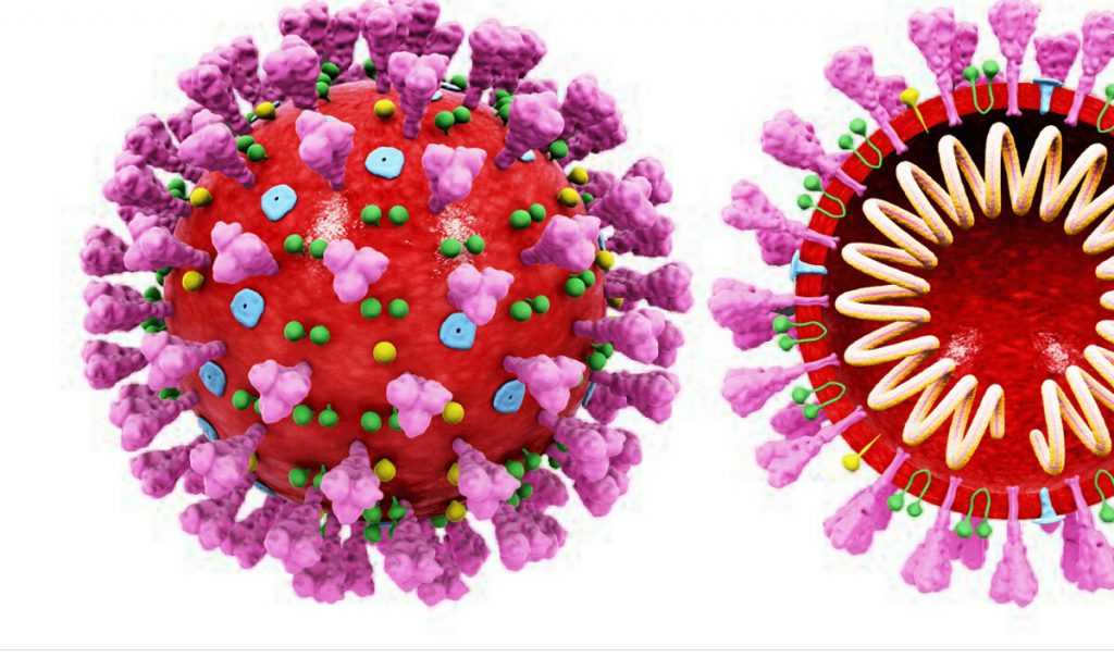 По време на карантина by Borislava - Ourboox.com