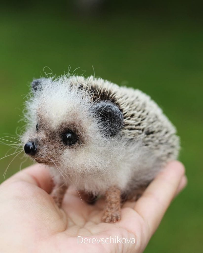 the story of the big world and the little hedgehog by polly volkova - Ourboox.com