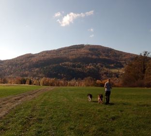 Belles citations sur les animaux by Jagoda Cholewa - Ourboox.com