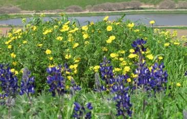 טיול שנתי לירושלים by abir mrde - Illustrated by עביר מורדי - Ourboox.com