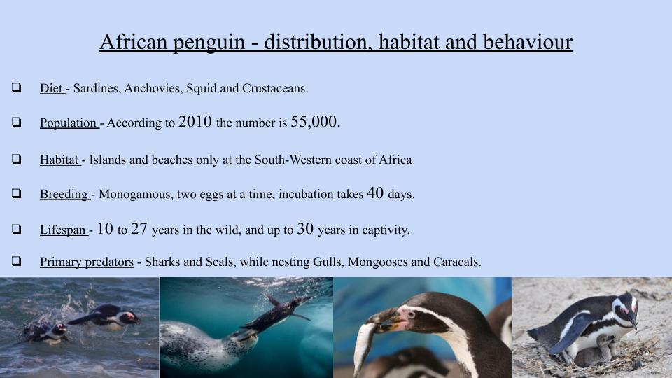 South Africa- Noa cohen, zohar cohen by Aya Ben Haim - Ourboox.com