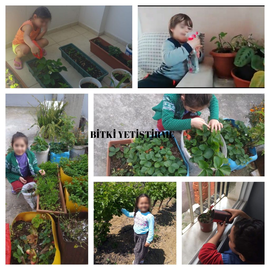 SOBE PROJESİ by NURSEL ŞAHİN - Ourboox.com