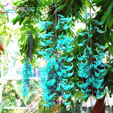 Bitkiler Alemi by Hatice Zeynep Erkci - Ourboox.com